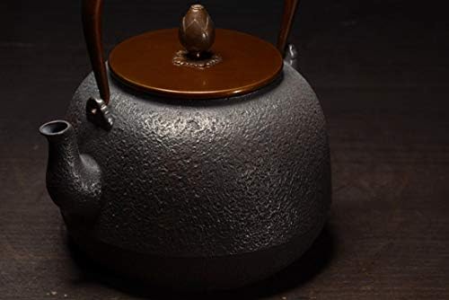 Ironелезен котел DBZCH, високи перформанси-цена ретро јапонски леано железо чај од железо котел кунг фу чај сет 1300 мл како дома или кујна