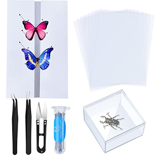 14 парчиња инсекти примероци за алатки за инсекти кутија за приказ на инсекти со чиста топ 8 листови Тенки трага за хартија од пеперутка за монтирање