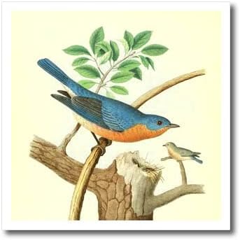 3drose гроздобер птици принт источно сино -уметност дива сина боја. - Ironелезо на трансфери на топлина