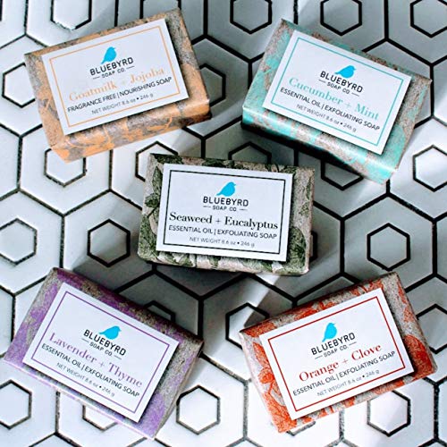 Bluebyrd Souap Co. 5-пакувања со разновидност со разновидност на разновидни шипки за есенцијално масло за сапуни | Миризлиран природен вегански бар сапун подарок | Нане од к