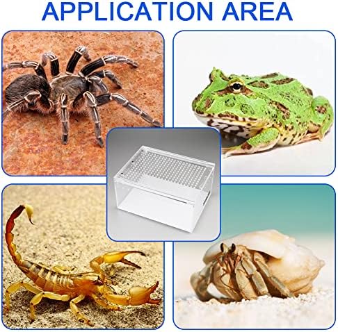 Прилог на акрилни влекачи со Sorwatee - кутија за одгледување на терариум за рептили за мали живеалишта, водоземци, пајаци, крикет, тарантула
