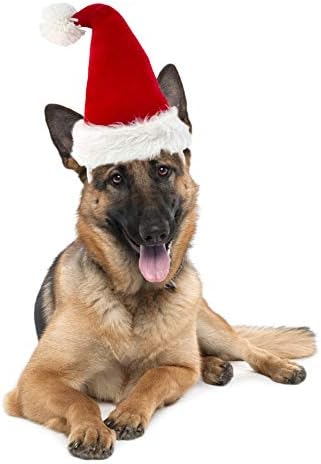 Companion Gear ™ PET Lailds Headbars, Holiday Santa Hat, средно/големо милениче, капа за додаток за забава