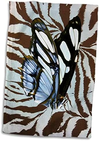 3drose Florene Décor II - Blue N кафеава пеперутка на жирафа - крпи
