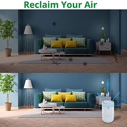 WBM Smart Hepa Филтер Прочистувач На Воздух За Домашни Алергии И Домашни Миленици Пушачи За Коса Во Спалната Соба, 25db Филтрација Систем За Чистење