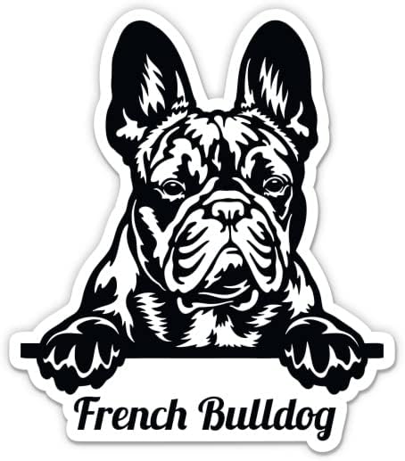 Француски булдог црно -бела налепница - 5 налепница за лаптоп - водоотпорен винил за автомобил, телефон, шише со вода - Декларација за кучиња Французи