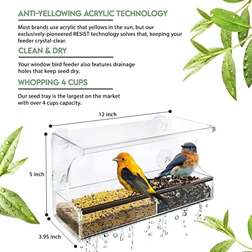 Прозорец фидер за птици со силни чаши за вшмукување - иновативна анти -жолчна акрилна технологија - екстра големи 4 чаши заклучуваат