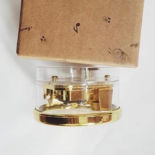 Fnly 18 белешки креативна ветерна акрилна пластика Транспарентна музичка кутија со движење со злато во, разни форми музичка кутија, музичка кутија